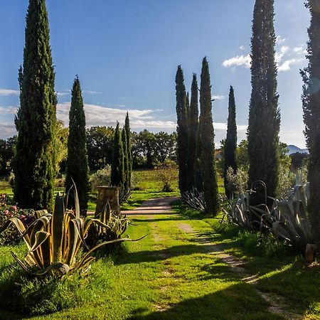 Agriturismo Bio Fattoria Casetta 가보라노 외부 사진