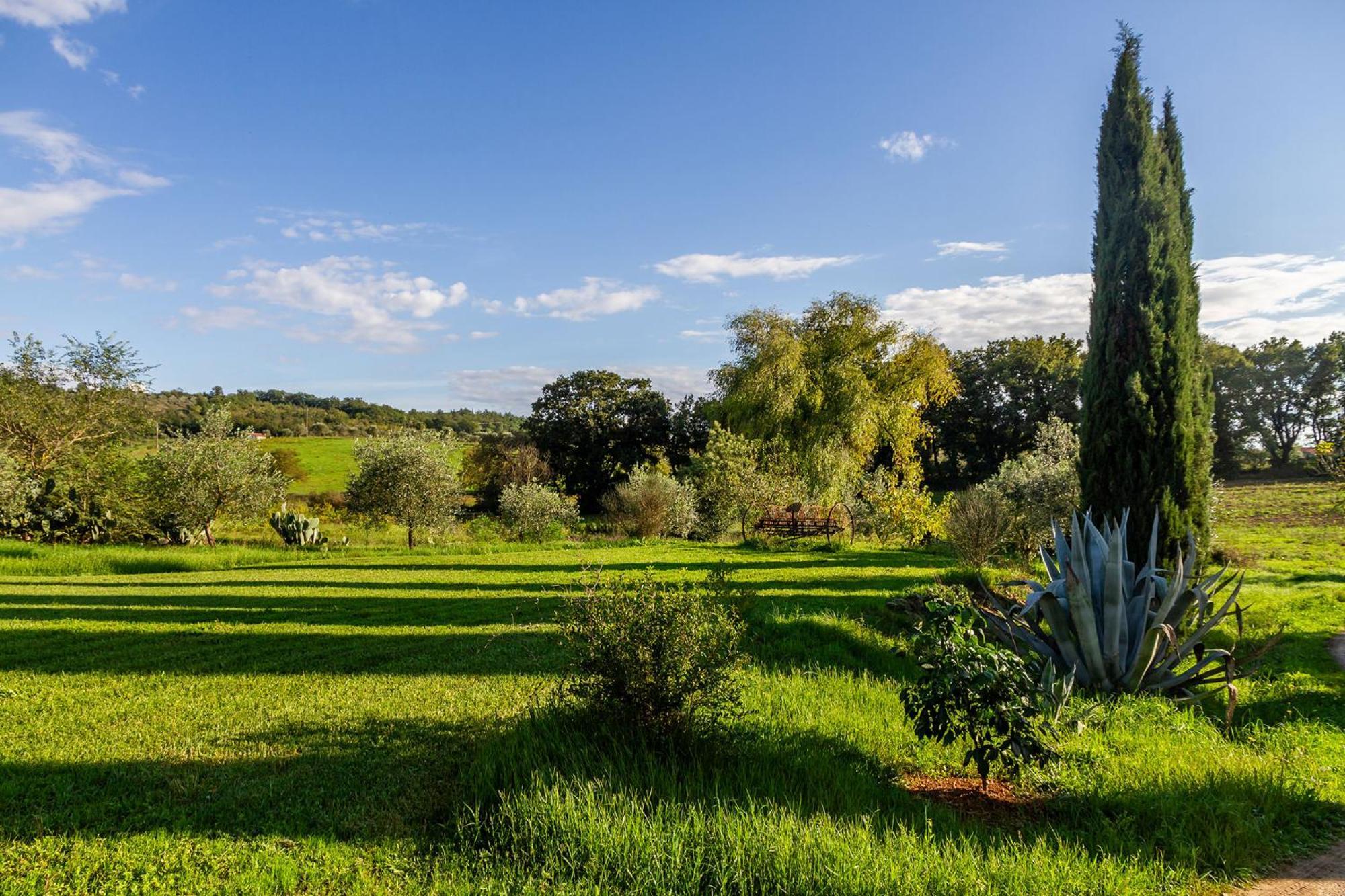 Agriturismo Bio Fattoria Casetta 가보라노 외부 사진