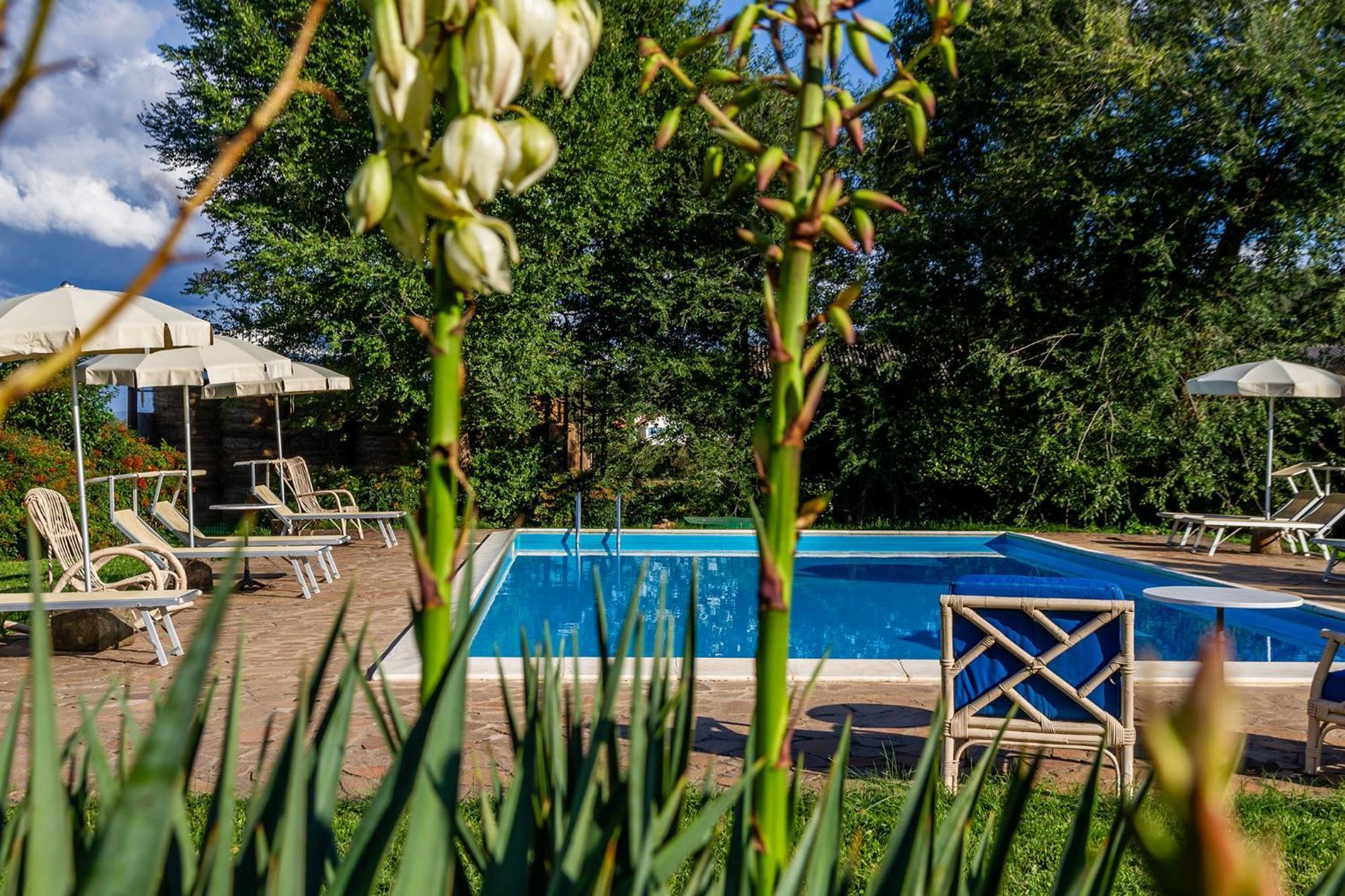 Agriturismo Bio Fattoria Casetta 가보라노 외부 사진