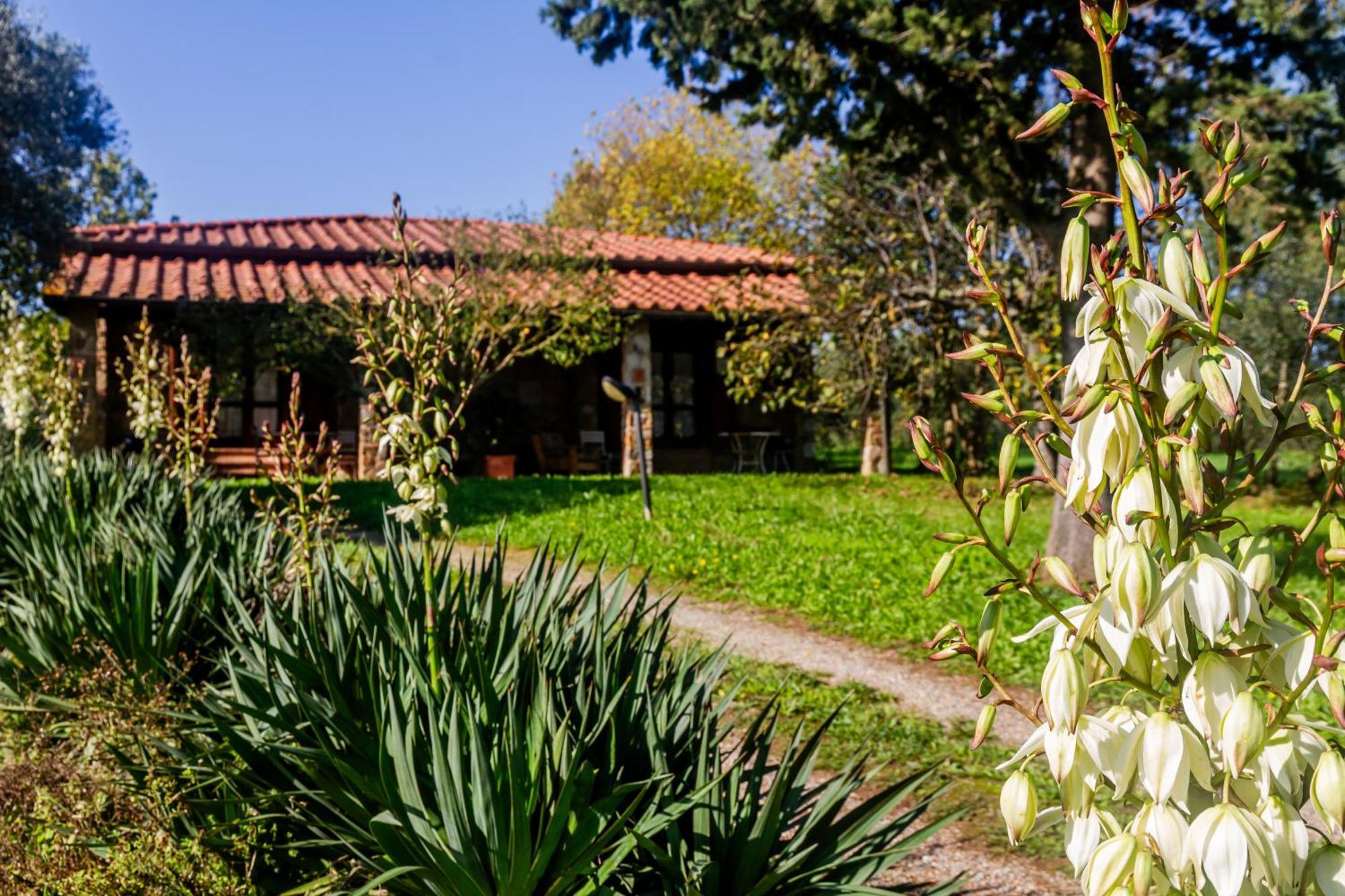 Agriturismo Bio Fattoria Casetta 가보라노 외부 사진