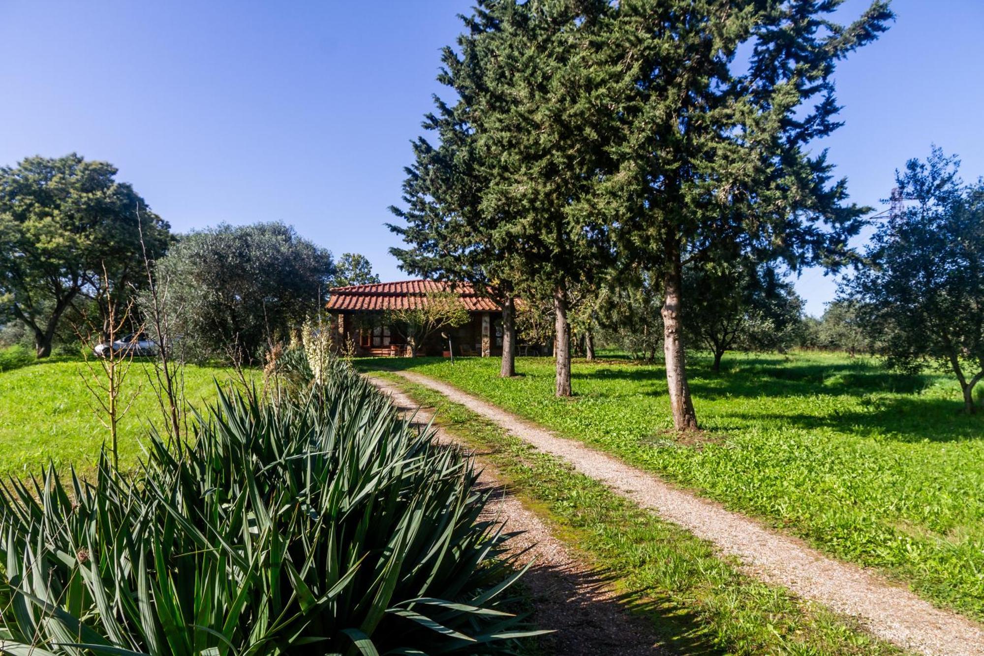 Agriturismo Bio Fattoria Casetta 가보라노 외부 사진